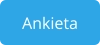 Ankieta