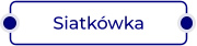 Siatkówka